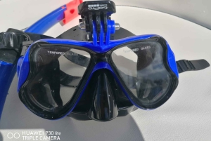 Puerto Colon: Dolfijn en walvistour Speedboat Cruise