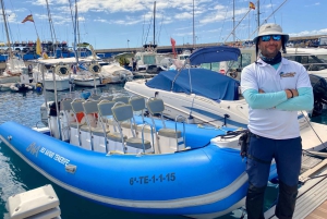 Puerto Colon: Dolfijn en walvistour Speedboat Cruise