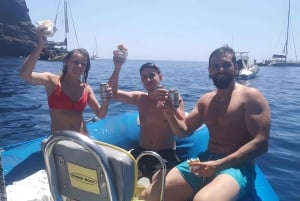 Puerto Colon: Dolphin and Whale Watching Speedboat Tour