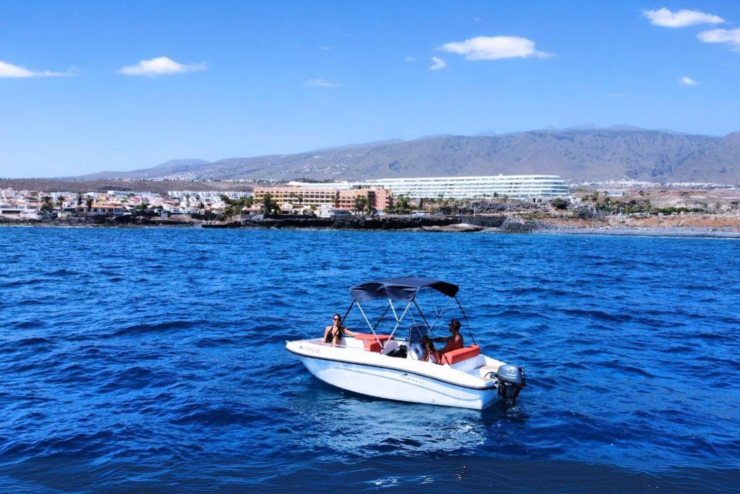 Puerto Colon: La Nina Boat z własnym kierowcą, Teneryfa bez licencji