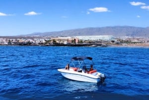 Puerto Colon: La Nina Boat z własnym kierowcą, Teneryfa bez licencji