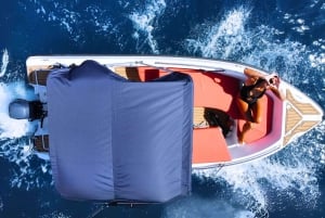 Puerto Colon: La Nina Boat z własnym kierowcą, Teneryfa bez licencji