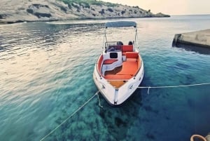 Puerto Colon: La Nina Boat z własnym kierowcą, Teneryfa bez licencji