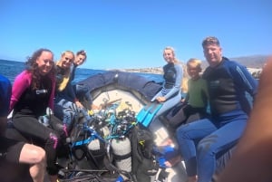 Puerto Colon: Snorkeling boat guided tour