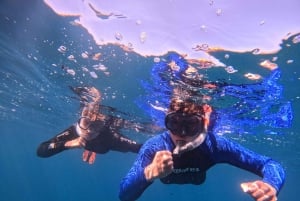 Puerto Colon: Snorkeling boat guided tour