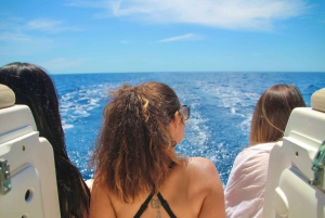 Puerto Colon : Whale & Dolphins Sailing Excursion