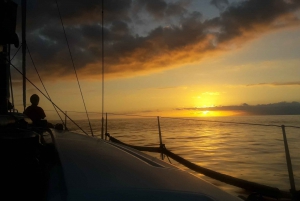 Puerto Colon: passeio de barco para observação de baleias com refeição e banho