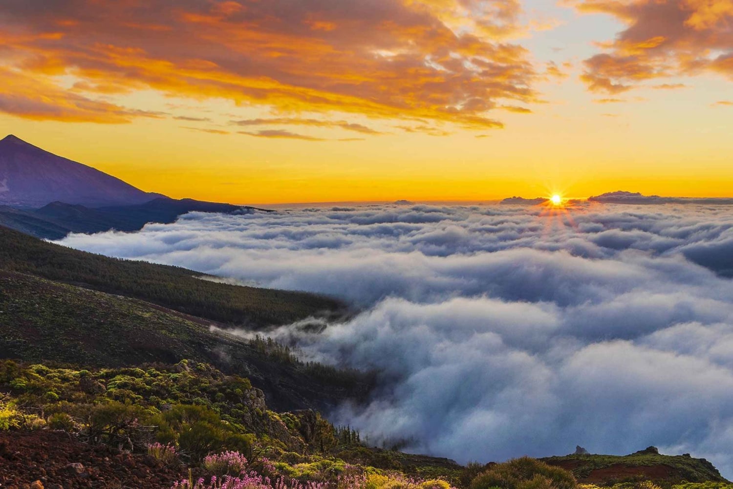 Puerto Cruz: VIP Teide Sunset & Stars, lunch Guachiche + cava