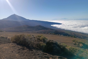 Puerto Cruz: VIP Teide Sunset & Stars, lunch Guachiche + cava