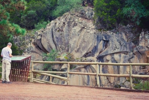 Puerto Cruz: VIP Teide Sunset & Stars, lunch Guachiche + cava