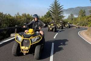 プエルト・デ・ラ・クルス：クワッドでテイデ山に登り、魔法のような夕日を体験しましょう