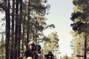 Puerto de la Cruz: Ascend Mount Teide on a quad bike to experience a magical sunset