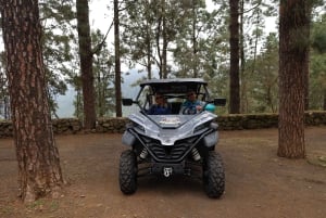 Puerto de la Cruz: Buggy no Parque Nacional do Teide