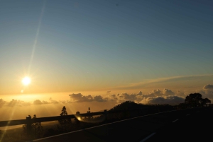 プエルト・デ・ラ・クルス：バギーで行くテイデ国立公園のサンセットツアー