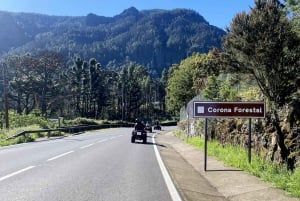 Ascend to Teide National Park on a quad bike from Puerto de la Cruz.