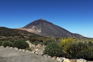 Ascend to Teide National Park on a quad bike from Puerto de la Cruz.