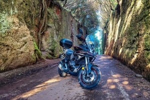 Puerto de la Cruz Motorbike tour through Teide National Park