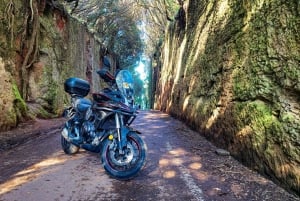 Excursion en moto à Puerto de la Cruz à travers le parc national du Teide