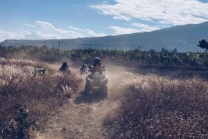 プエルト・デ・ラ・クルス：テネリフェ島北部のオフロード・クワッド・アドベンチャーをお楽しみください