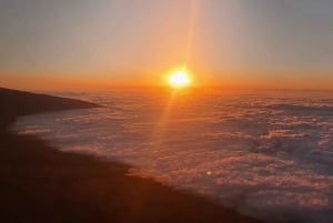 プエルト・デ・ラ・クルス：テネリフェ島北部のオフロード・クワッド・アドベンチャーをお楽しみください