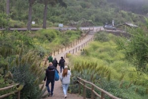 Puerto de la Cruz: Quad Teide Sunset National Park