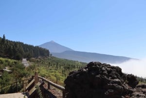 Puerto de la Cruz: Quad Teide Sunset National Park