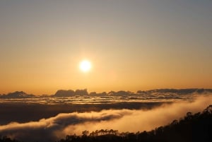 Puerto de la Cruz: Quad Teide Sunset Park Narodowy