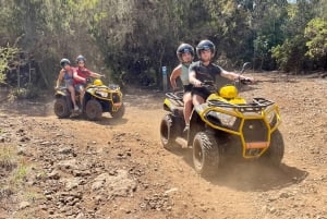 Puerto de la Cruz : excursion en quad au Teide ou dans la vallée hors route