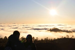 Puerto de la Cruz: Quad Teide National Park