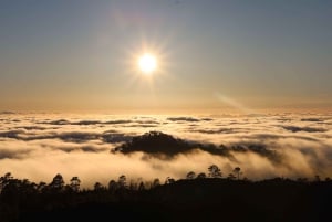 Puerto de la Cruz: Quad Teide National Park