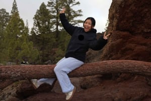 Puerto de la Cruz: Quad Teide National Park