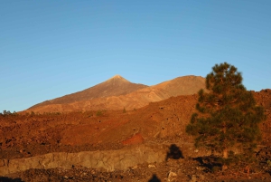 Puerto de la Cruz: Quad Teide National Park