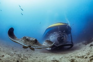 Puerto de la Cruz: Wycieczka łodzią podwodną i przystanek na plaży na Teneryfie