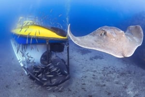 Puerto de la Cruz: Wycieczka łodzią podwodną i przystanek na plaży na Teneryfie