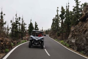 Puerto de la Cruz: Buggy-tur til Teide National Park