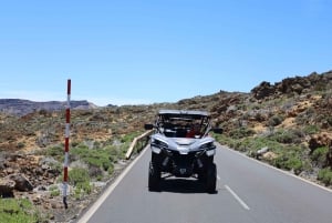 Puerto de la Cruz: Buggy-tur til Teide National Park