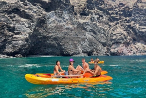 Punta de Teno: Kayak Safari overlooking Los Gigantes Cliffs