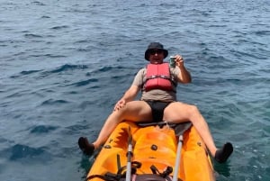 Punta de Teno: Kayak Safari overlooking Los Gigantes Cliffs