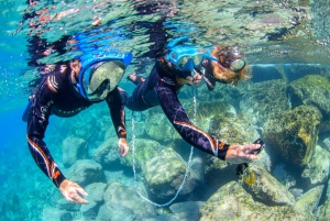 Radazul: Excursión familiar de snorkel