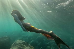 Radazul: Mermaid Experience and Photo Shoot