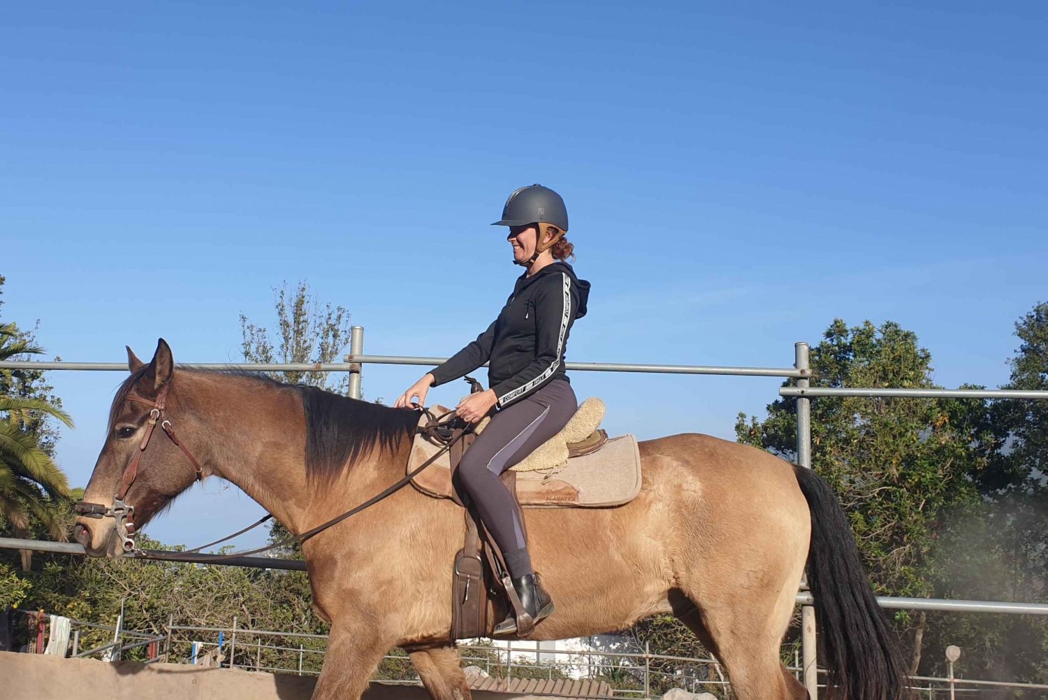 Riding lesson for beginners 1 hour, lots of information
