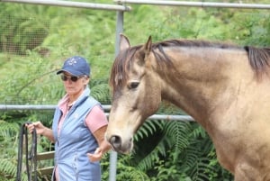 Riding lesson for beginners 1 hour, lots of information