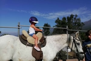 Riding lesson for beginners 1 hour, lots of information