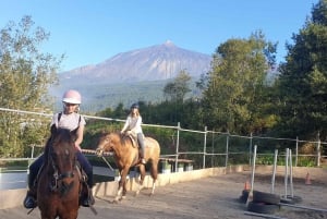 Riding lesson for beginners 1 hour, lots of information