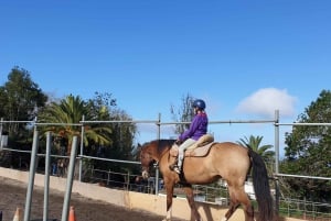 Riding lesson for beginners 1 hour, lots of information