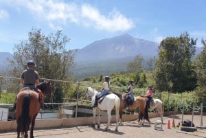 Riding lesson for beginners 1 hour, lots of information