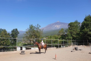 Riding lesson for beginners 1 hour, lots of information