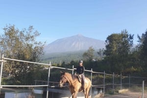 Riding lesson for beginners 1 hour, lots of information