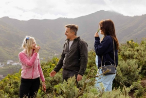 Wędrówka Roque de Tarucho nad wioską Masca