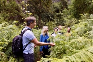 マスカ村上空のロケ・デ・タルーチョハイク